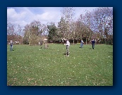 Can anybody hear anything?